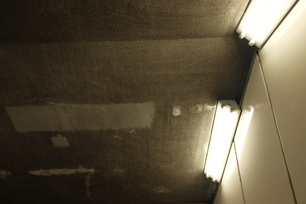 Ceiling ceiling.webp