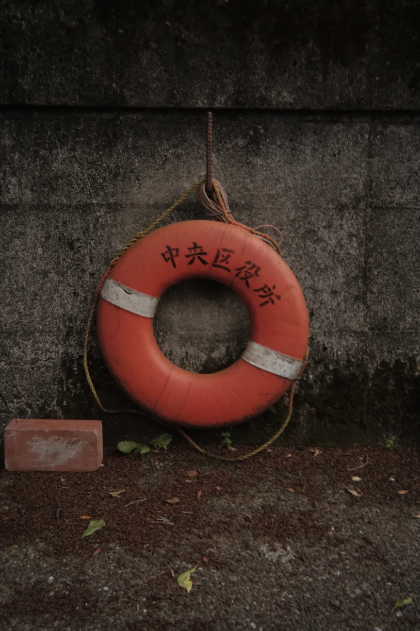 Lifesaver lifesaver.webp