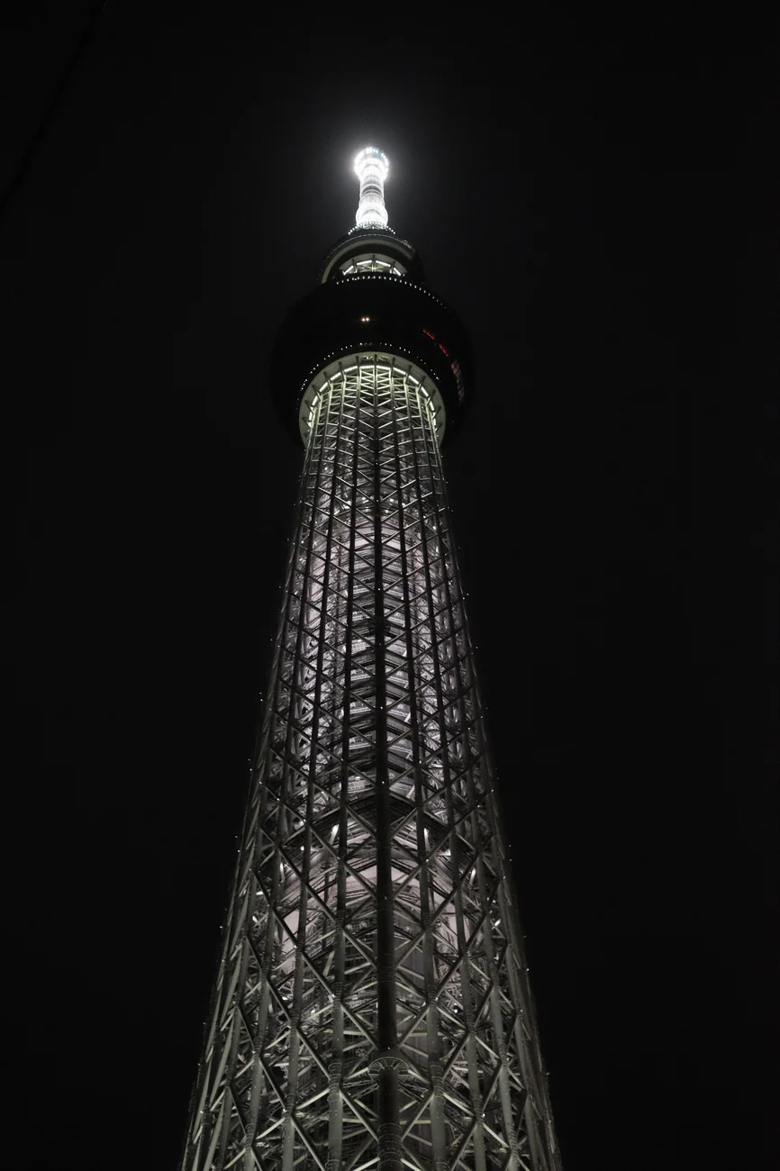 Skytree skytree.webp