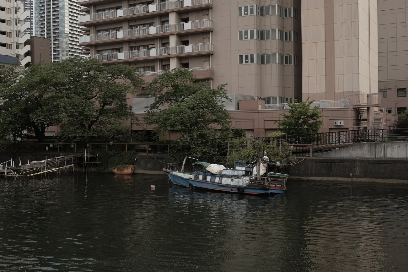 Tug tug.webp