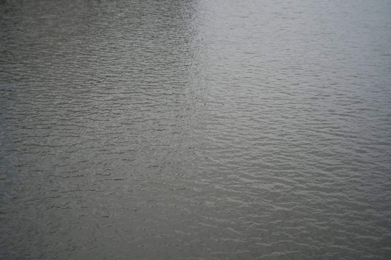 Water water.webp