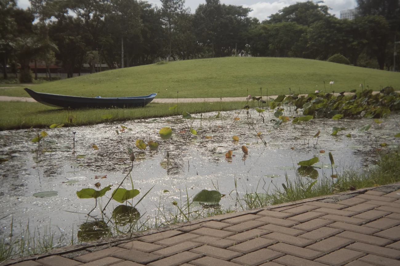 Pond pond.webp