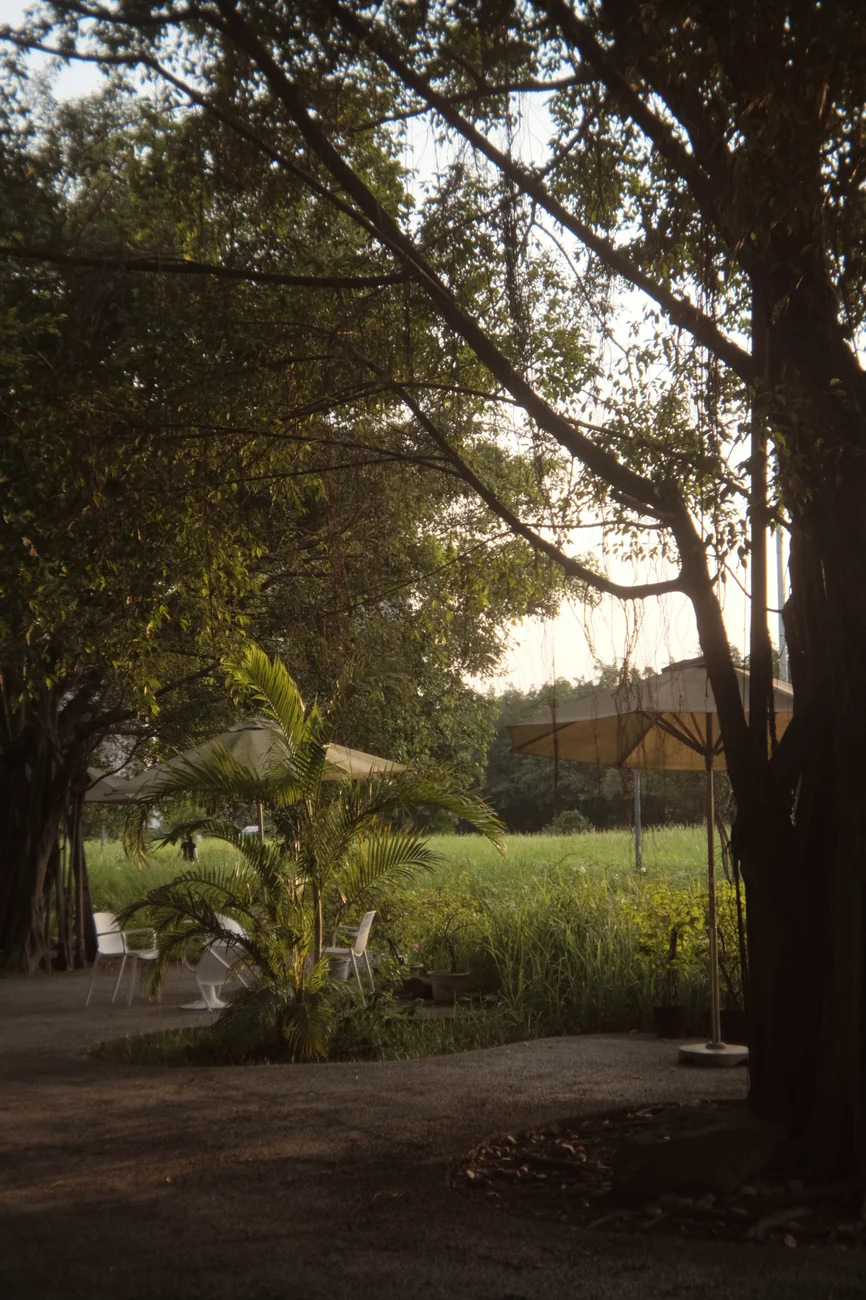 Park park.webp