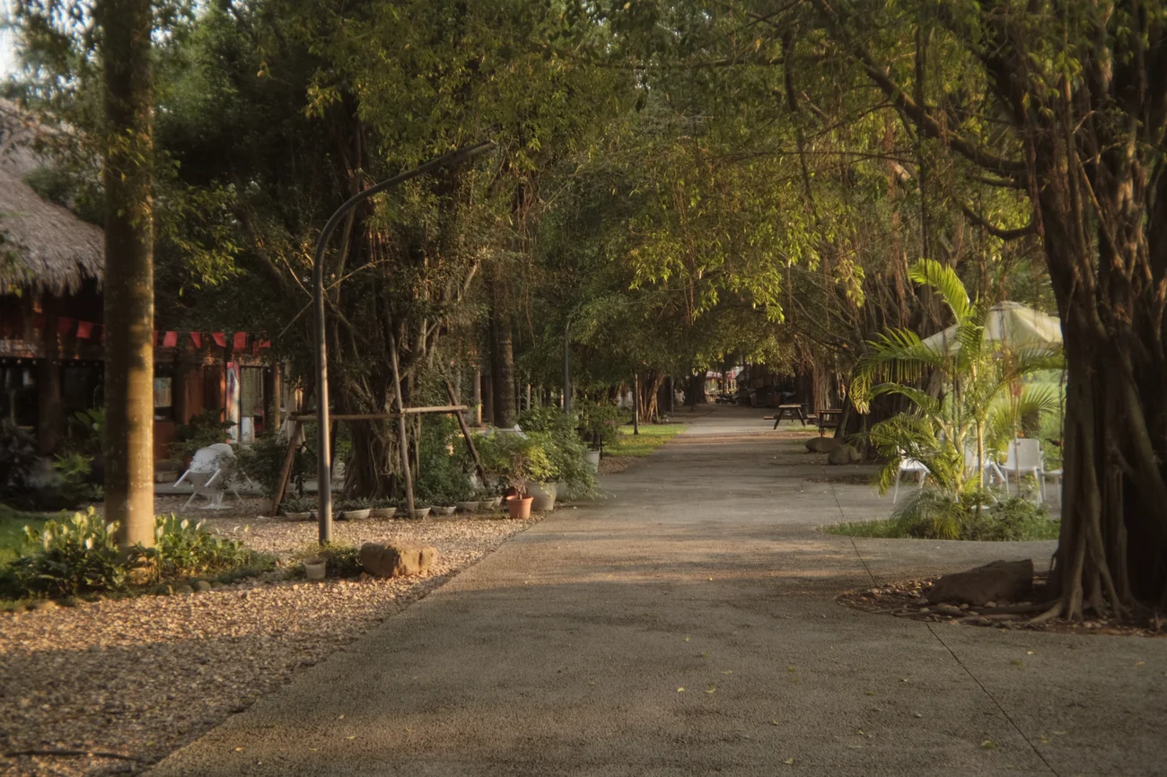 Path path.webp