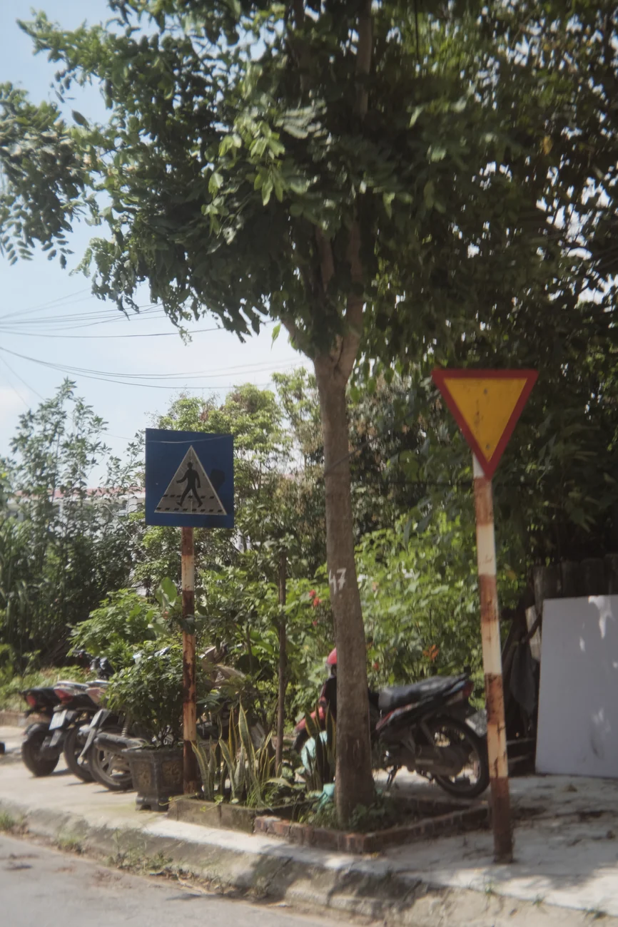 Signs signs.webp