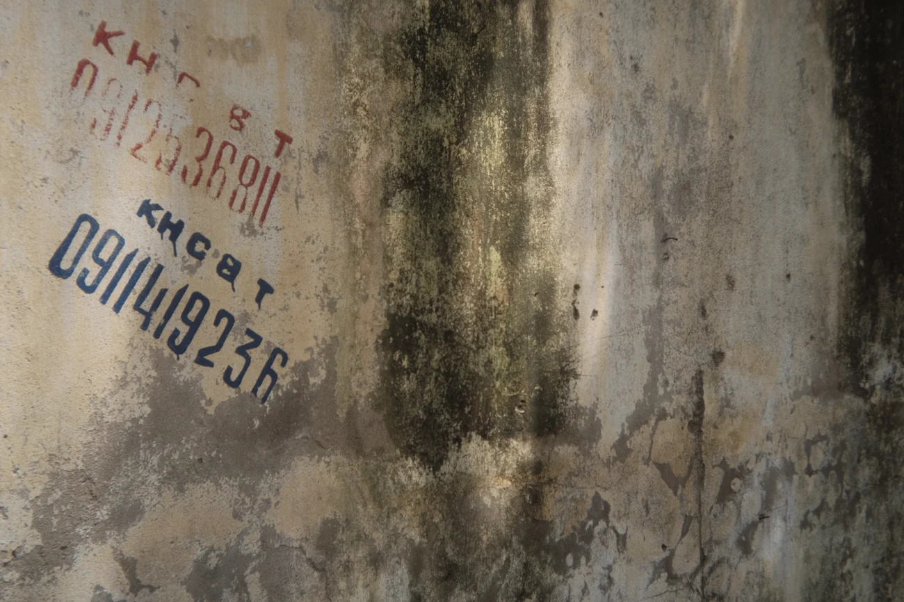 Wall wall.webp