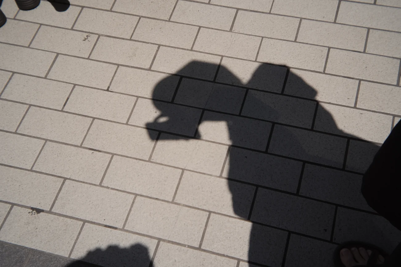 Shadow shadow.webp