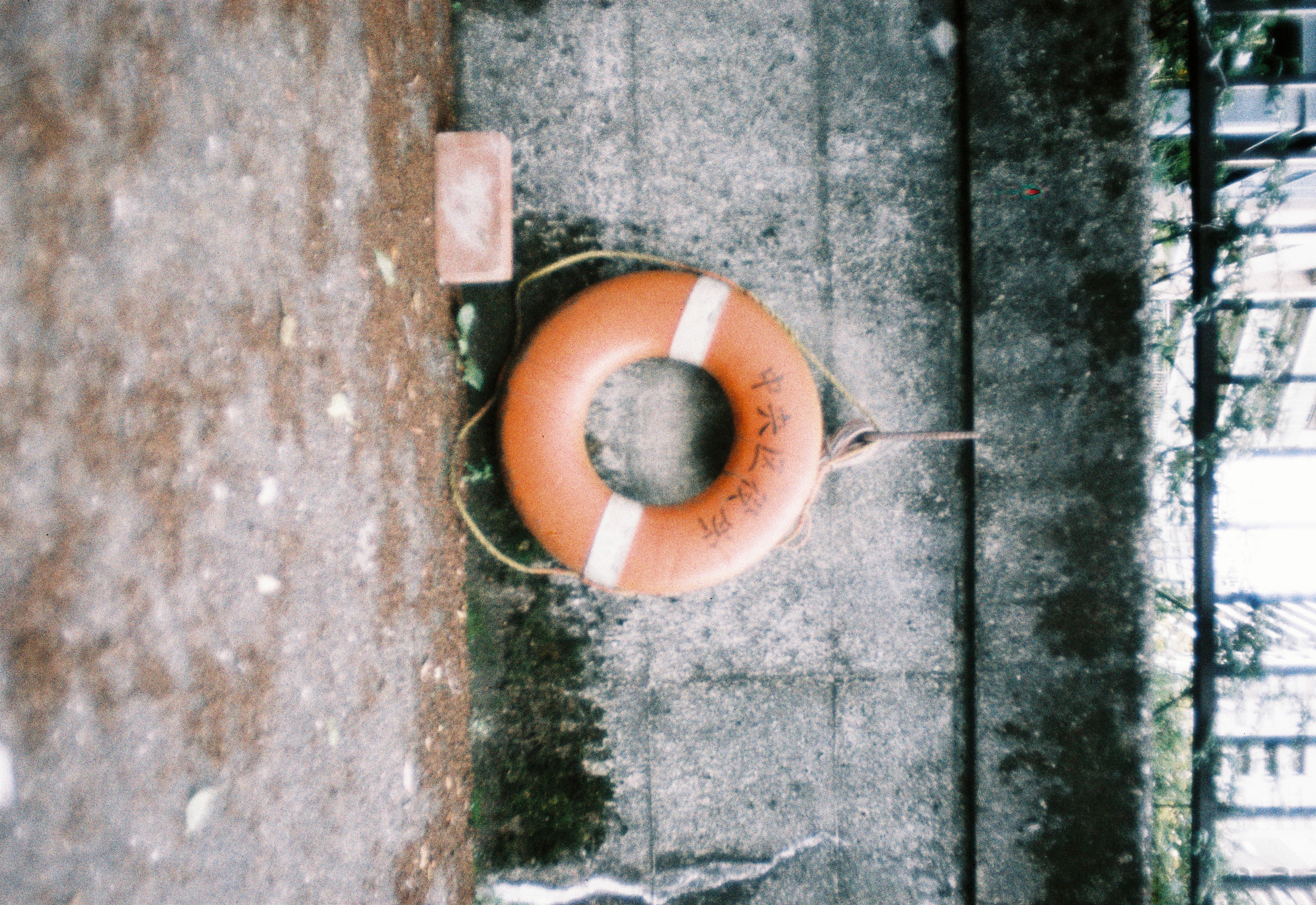 Lifesaver lifesaver.jpg
