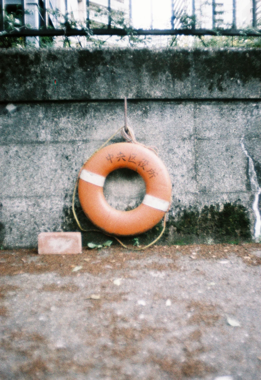 Lifesaver lifesaver.webp