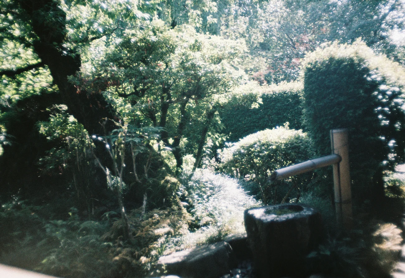Oasis oasis.webp