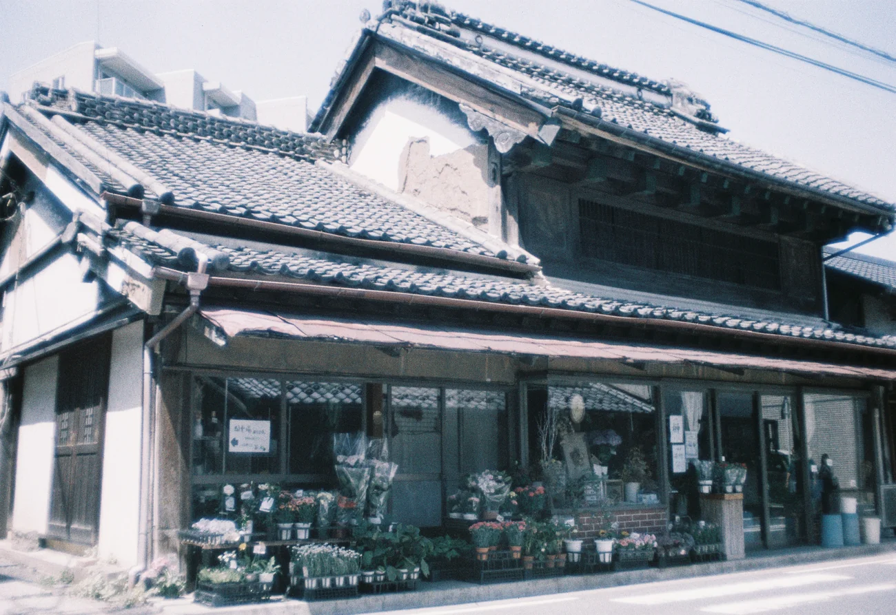 Shop shop.webp
