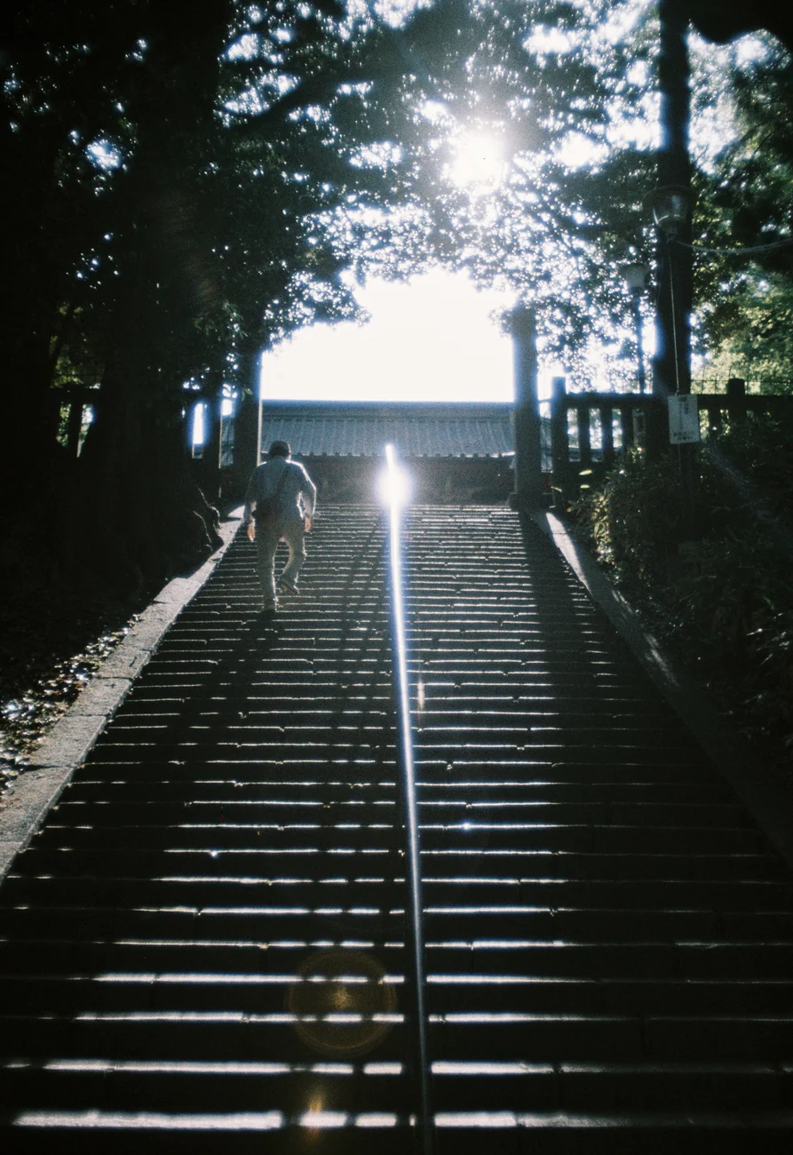 Stairs stairs.webp