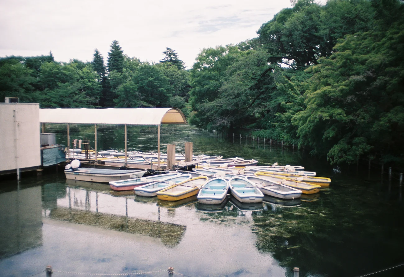 Boats boats.webp