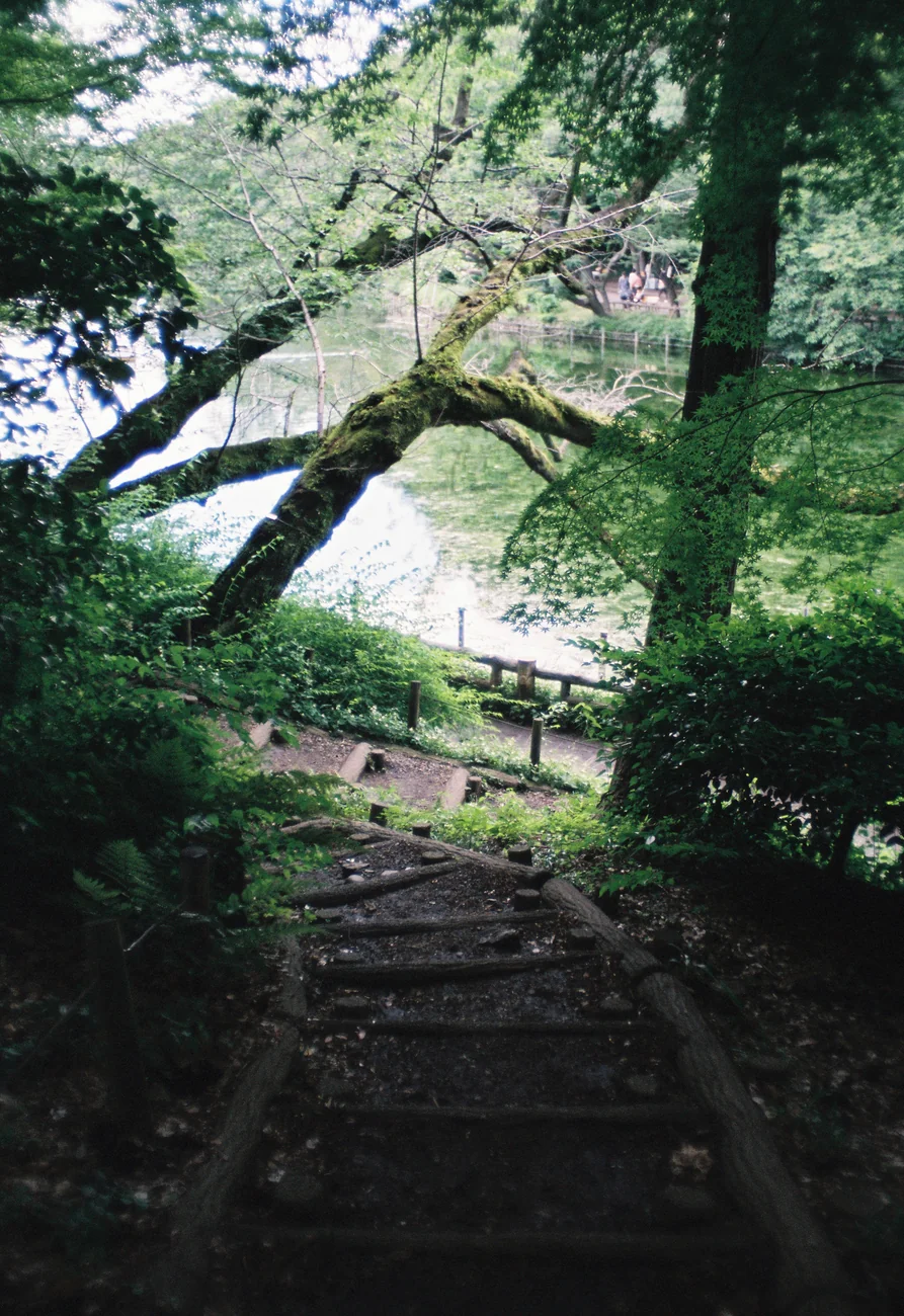 Path path.webp