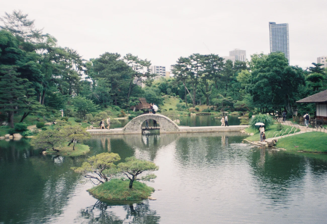 Bridge bridge.webp