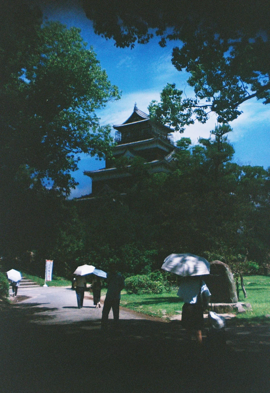 Featured Photo