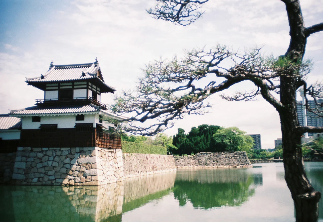 Moat moat.webp
