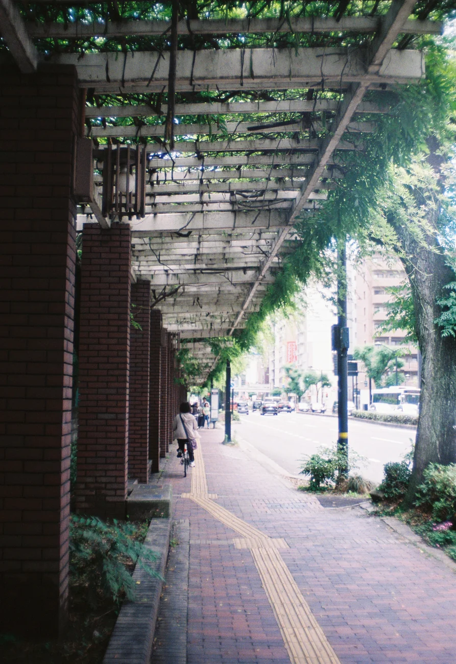 Overhang overhang.webp