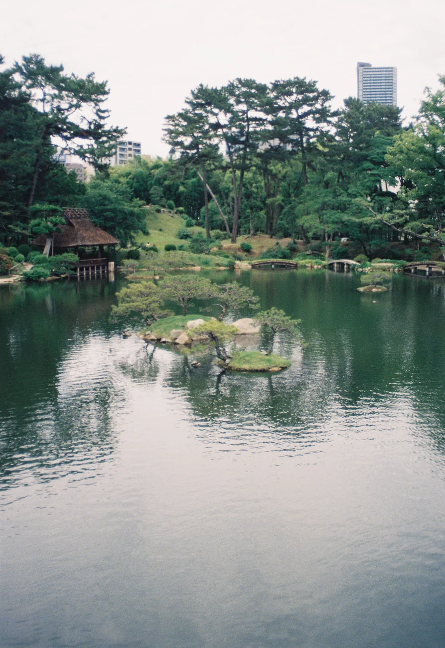 Pond pond.webp
