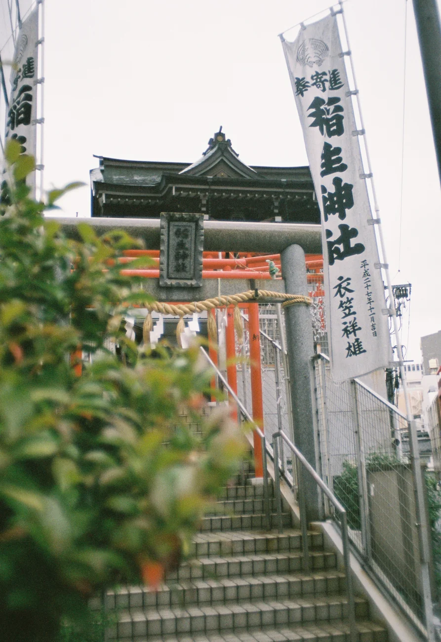 Shrine shrine.webp