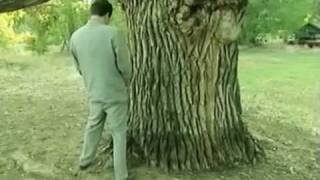 Borat Paying Respect to the Oldest Tree in US&A - Sacha Baron Cohen