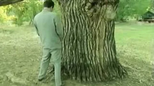 Borat Paying Respect to the Oldest Tree in US&A - Sacha Baron Cohen
